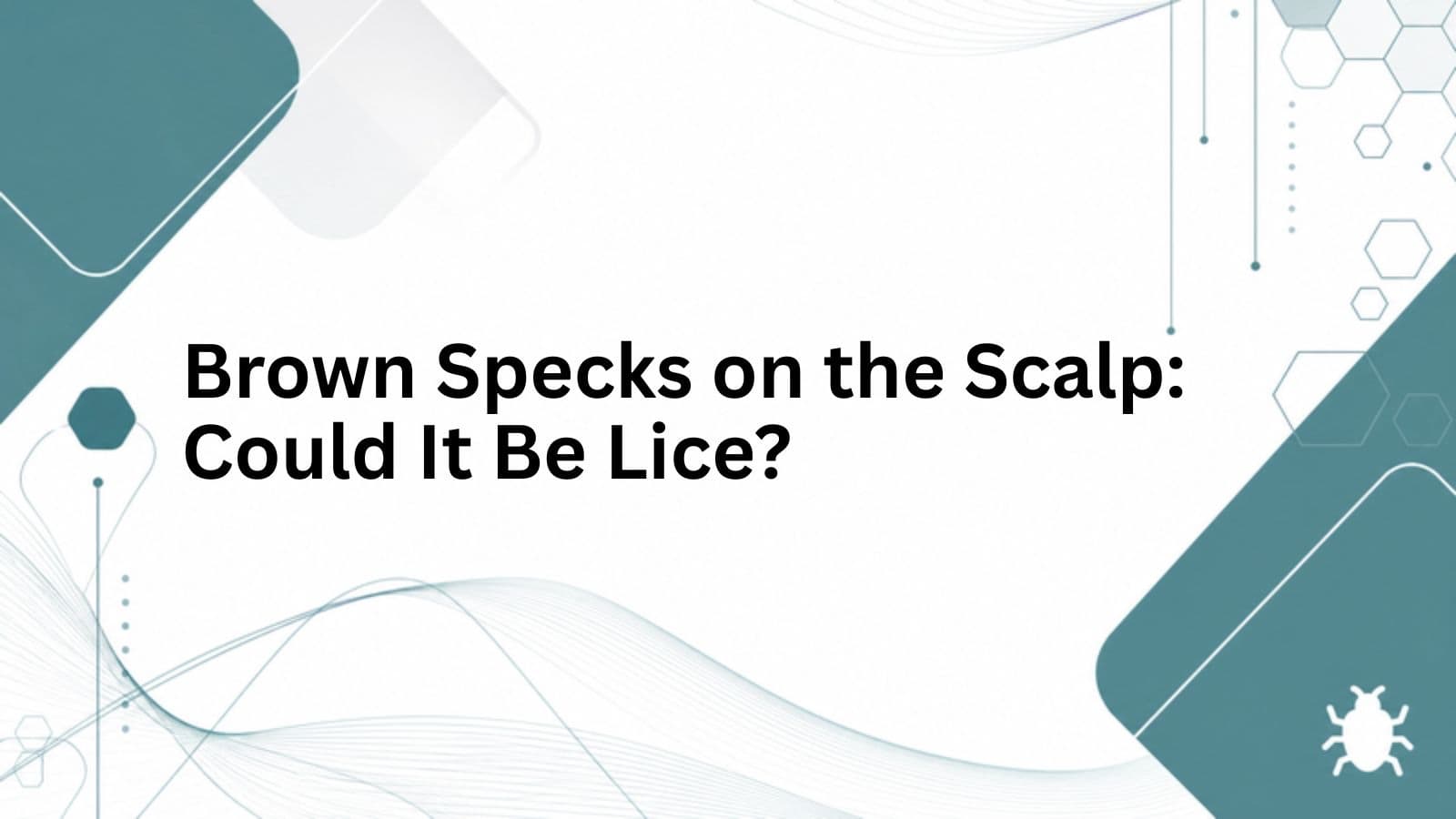 Brown Specks on the Scalp: Could It Be Lice? cover
