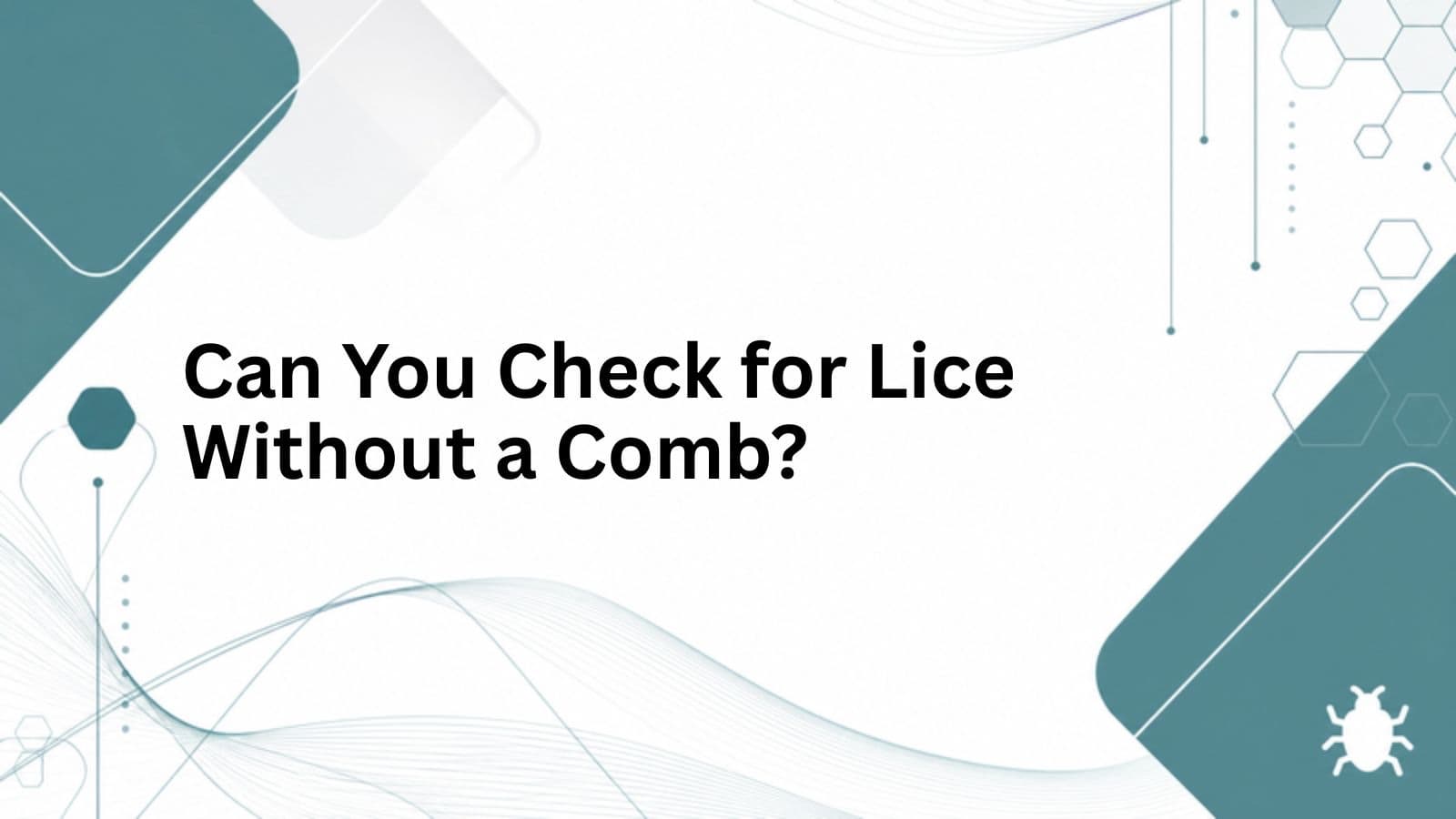 Can You Check for Lice Without a Comb? cover
