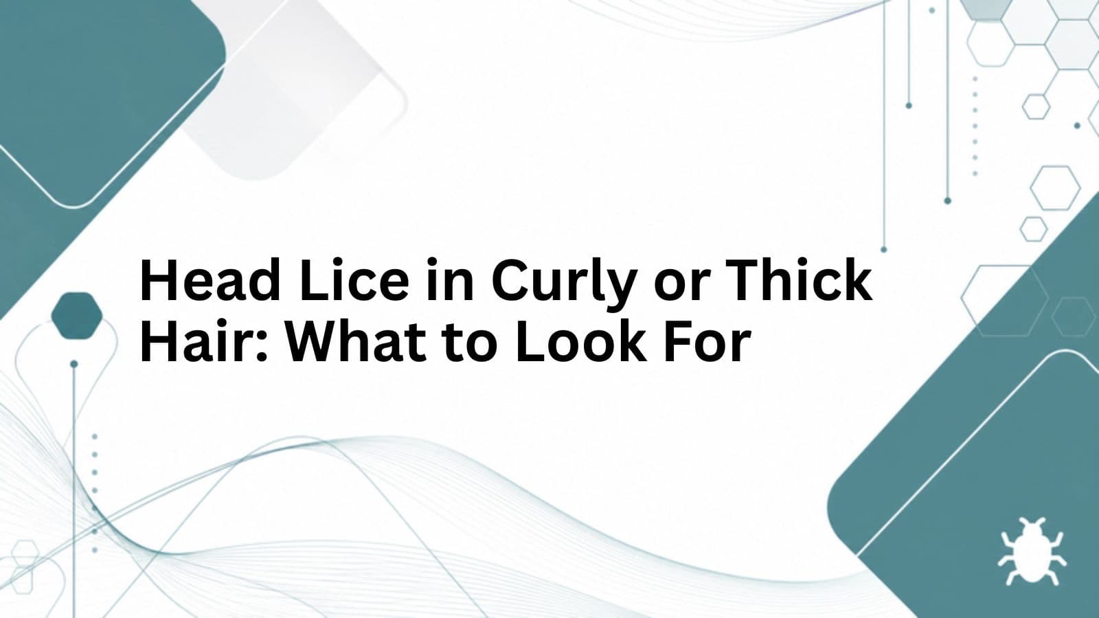 Branded cover for Head Lice in Curly or Thick Hair