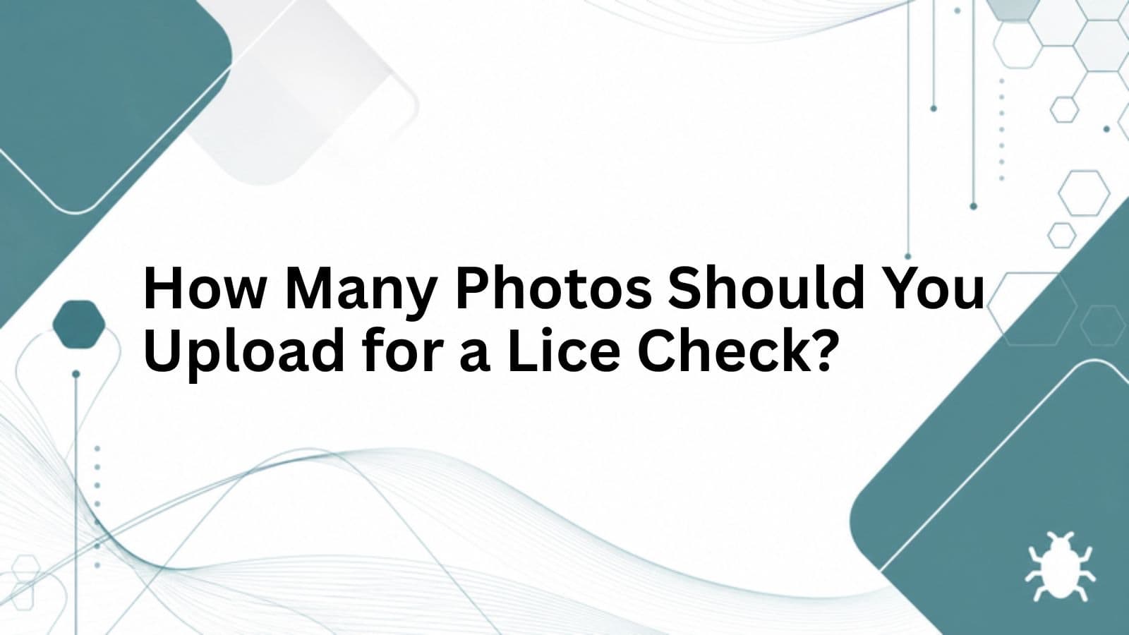 How Many Photos Should You Upload for a Lice Check? cover