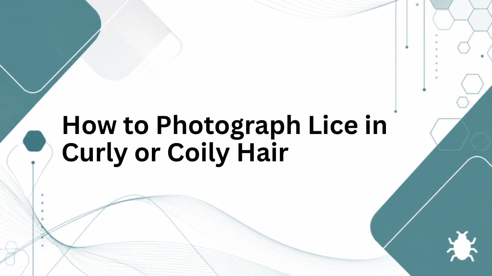 How to Photograph Lice in Curly or Coily Hair cover