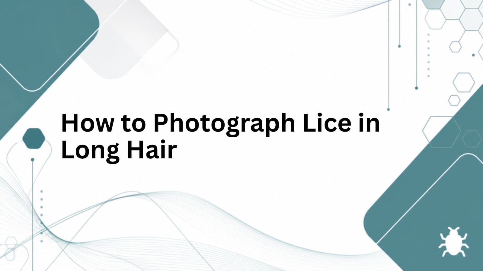 How to Photograph Lice in Long Hair cover