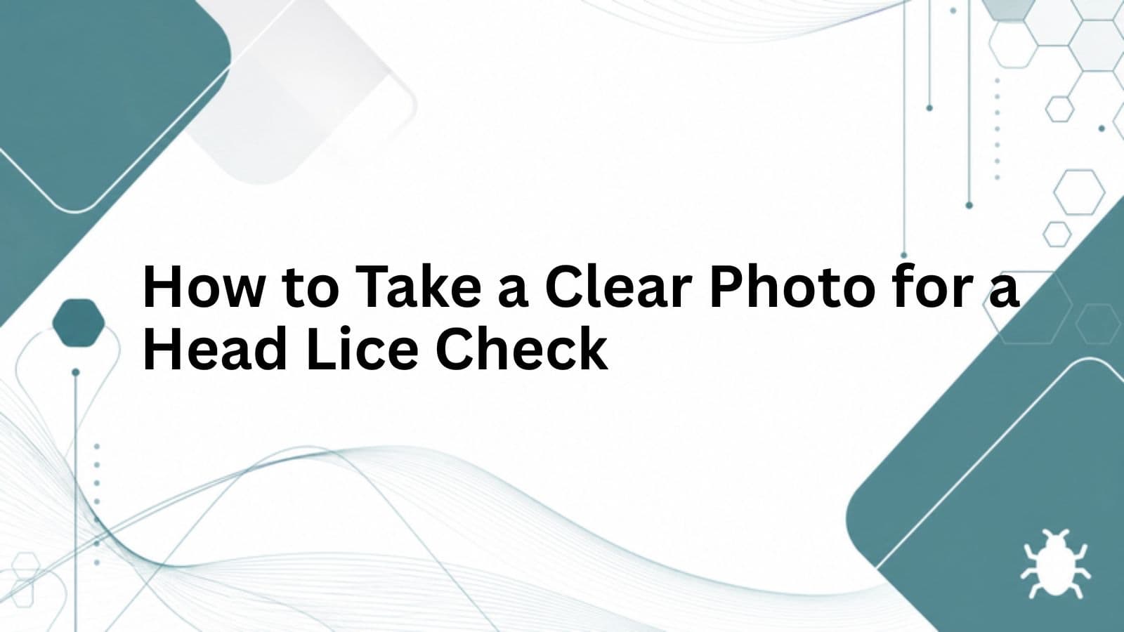How to Take a Clear Photo for a Head Lice Check cover