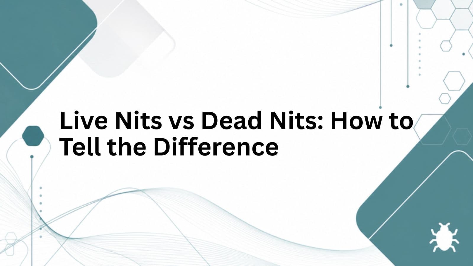 Branded cover for Live Nits vs Dead Nits