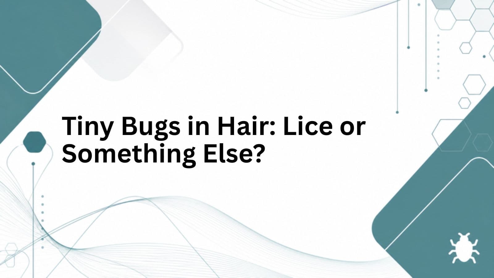 Branded cover for Tiny Bugs in Hair: Lice or Something Else?