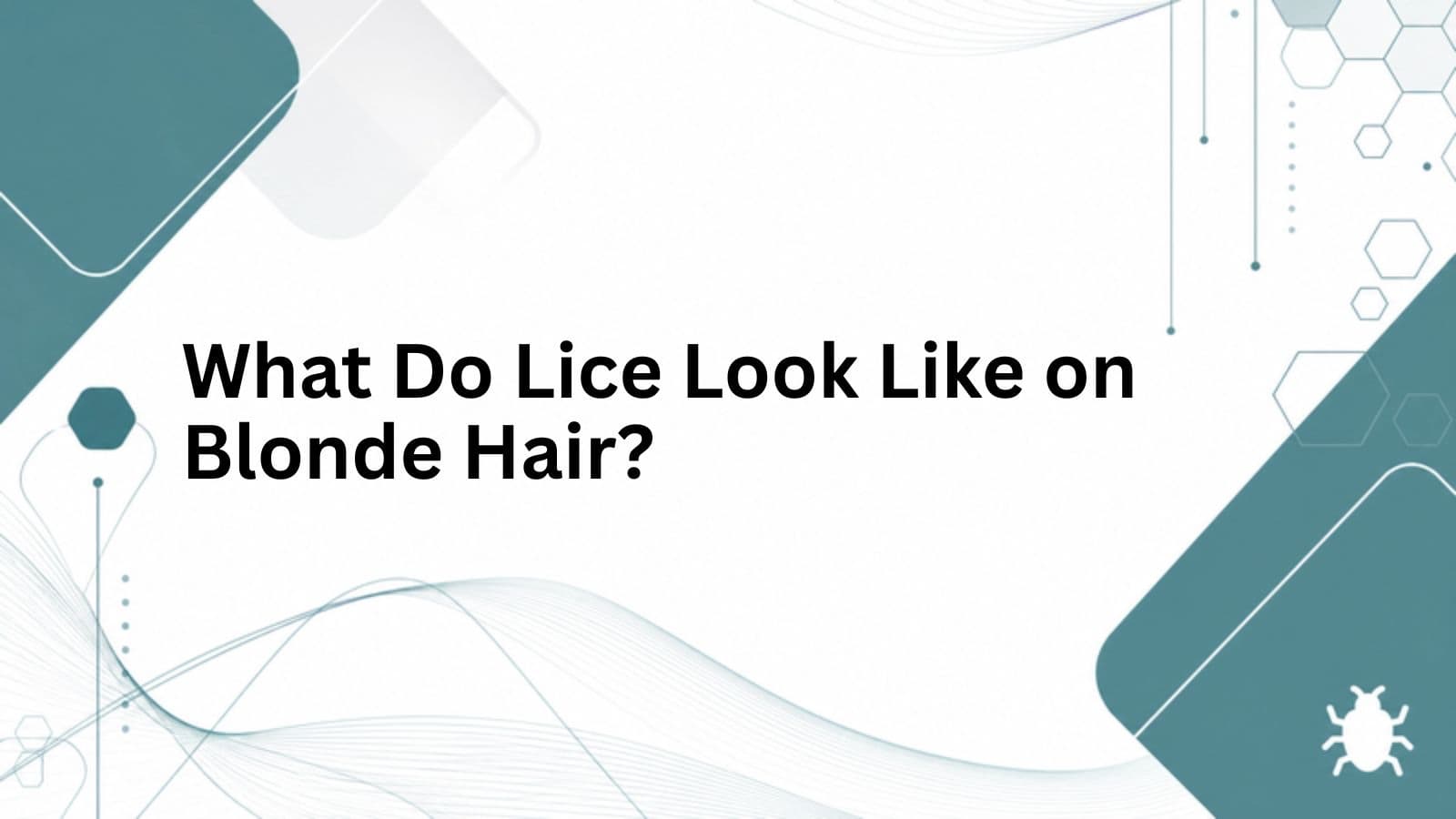 What Do Lice Look Like on Blonde Hair? cover