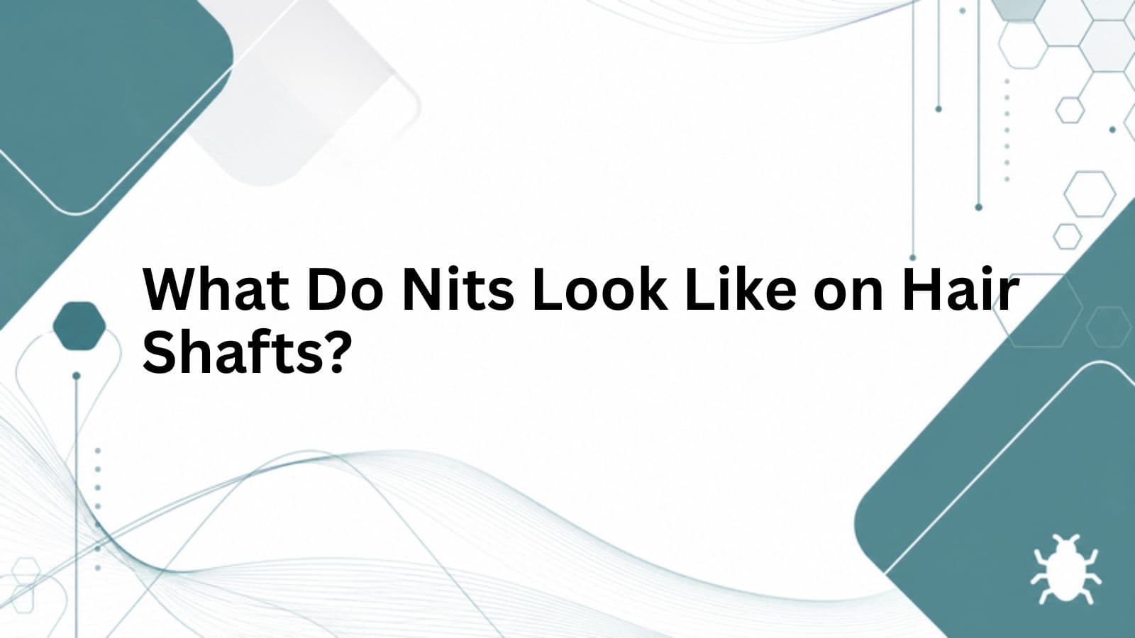 Branded cover for What Do Nits Look Like on Hair Shafts?