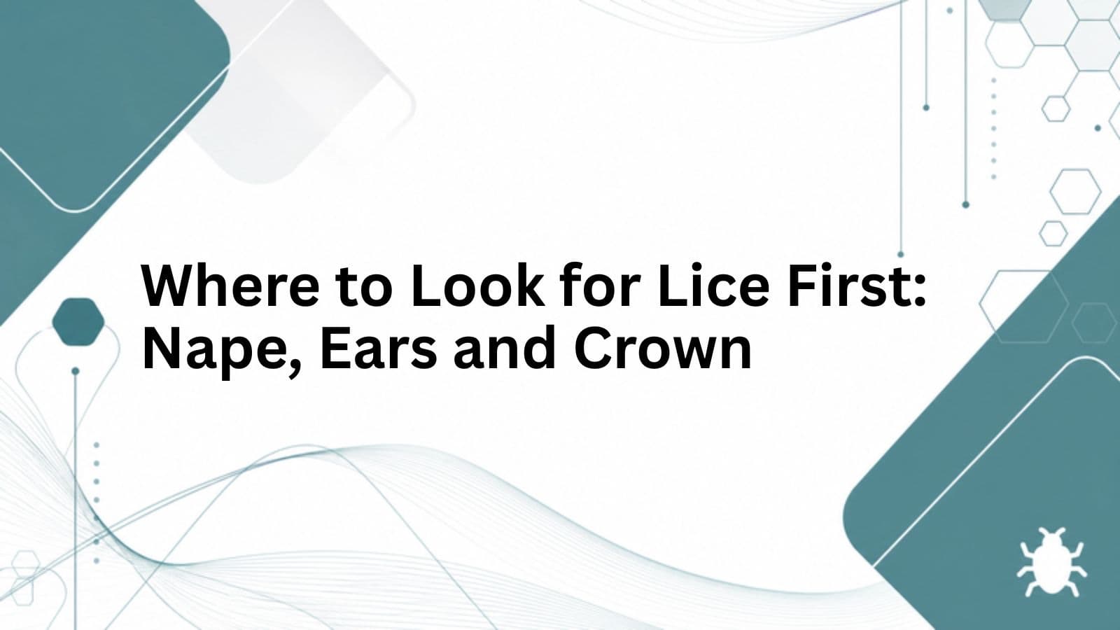 Branded cover for Where to Look for Lice First