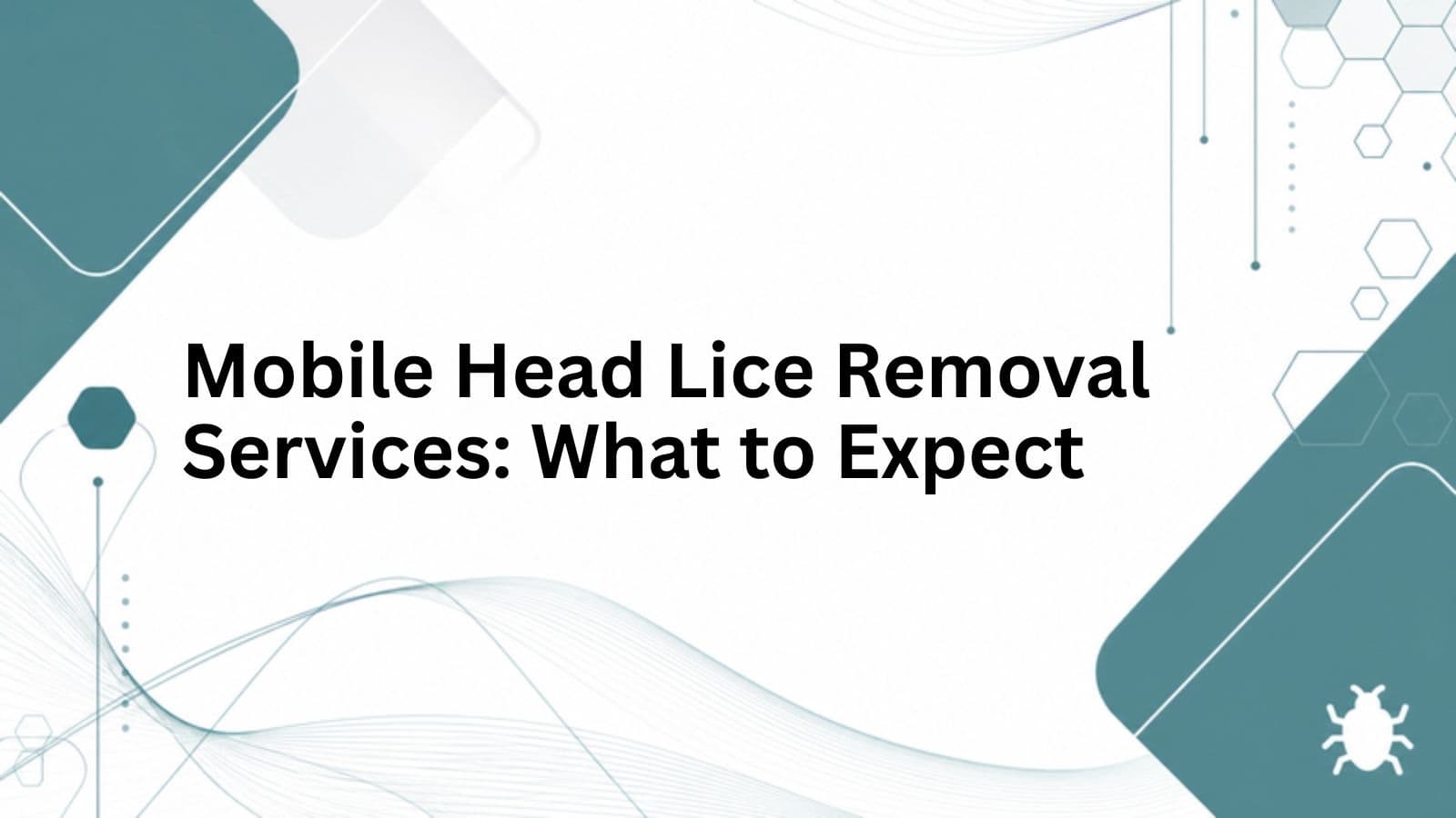 Mobile Head Lice Removal Services: What to Expect cover