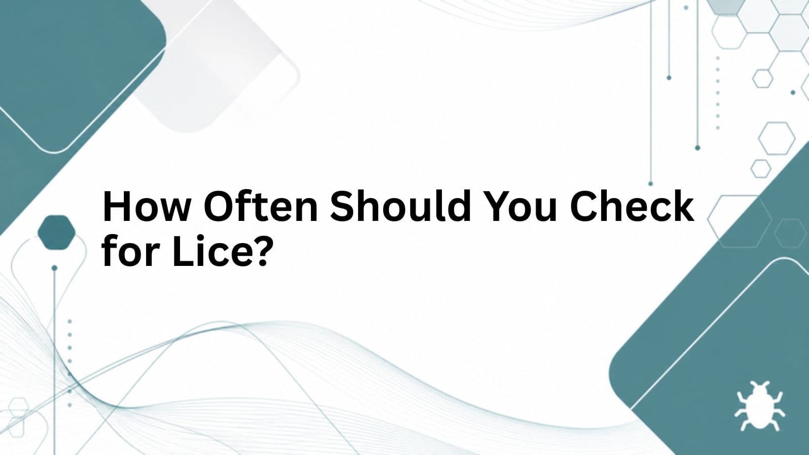 How Often Should You Check for Lice? cover